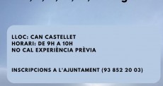 Montdois