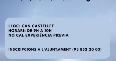 Montdois
